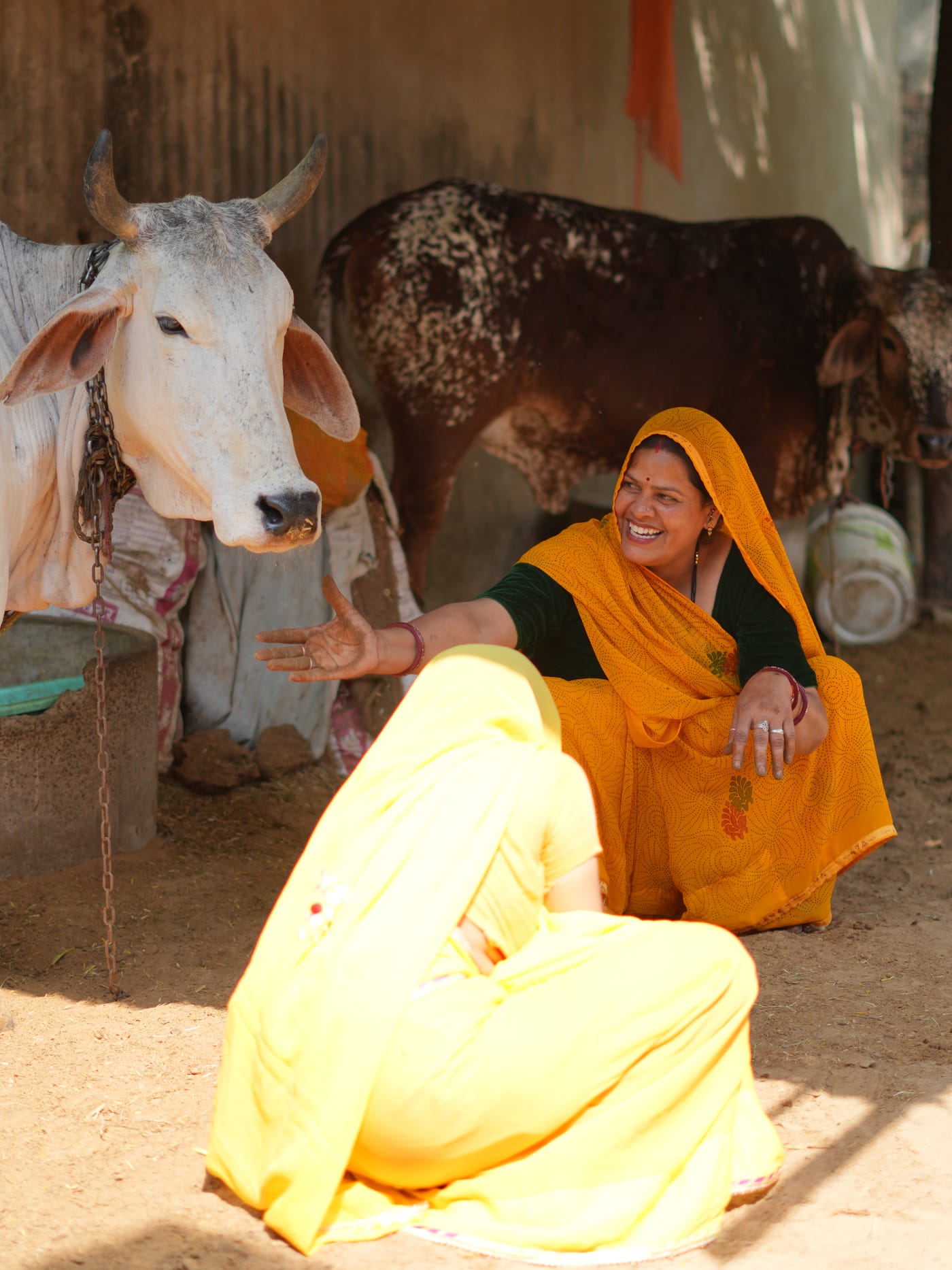 Women shaping Urjaa Deepaks by hand from cow dung, herbs, and havan samagri in Rajasthan