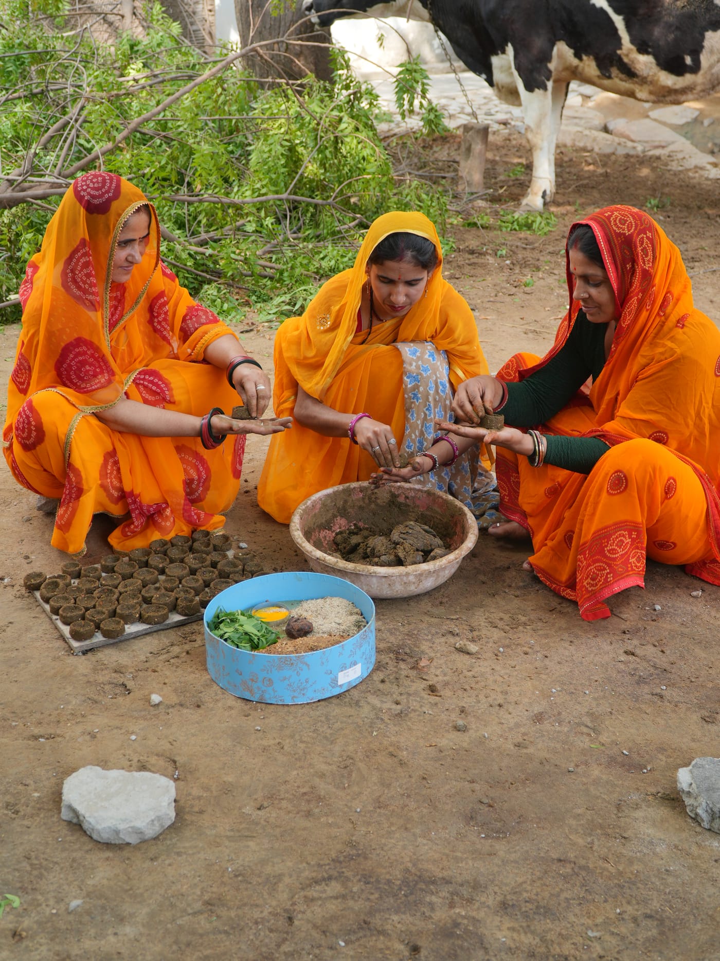 Village life and cows beside the women who sustain every Urjaa Deepak